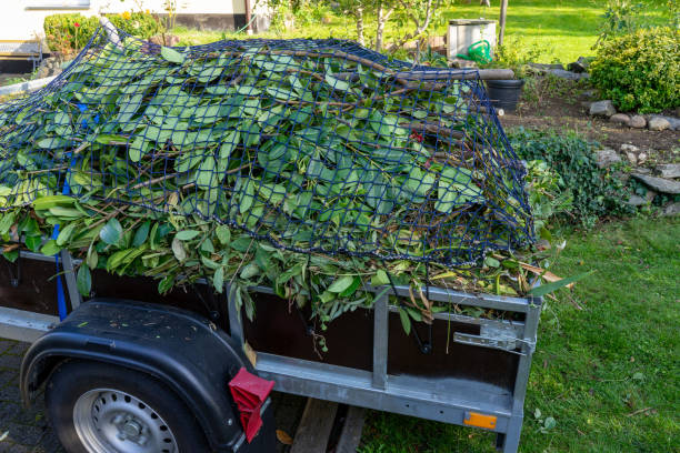 Best Recycling Services for Junk  in Hollis, OK